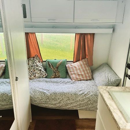 Cosy Caravan At Carrigeen Glamping Hotell Kilkenny Exteriör bild