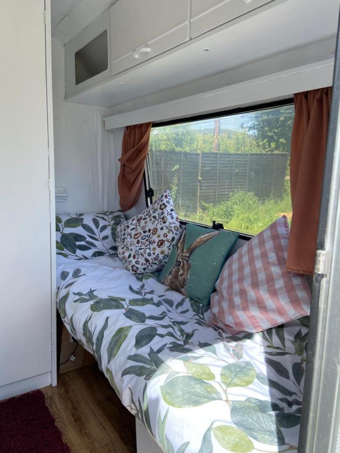 Cosy Caravan At Carrigeen Glamping Hotell Kilkenny Exteriör bild
